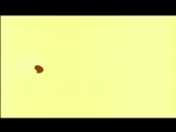 İyi Kötü Çirkin Ana Tema (Il buono, il brutto, il cattivo, 1966)