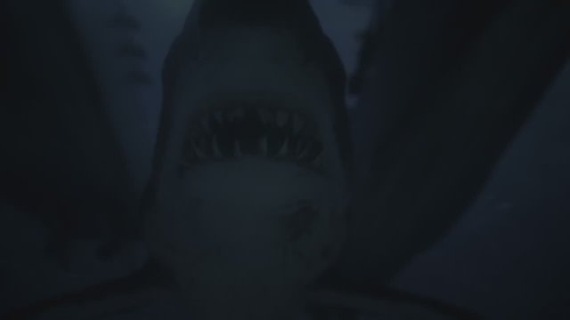 Mega Shark vs. Mecha Shark