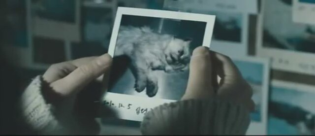 The Cat (2011) Fragman