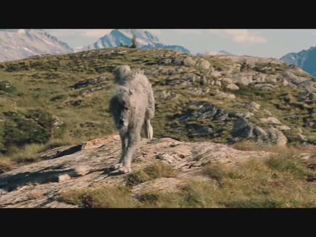 Belle et Sébastien Fragman