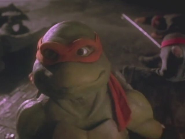 Turtle Power: The Defintive History of the Teenage Mutant Ni